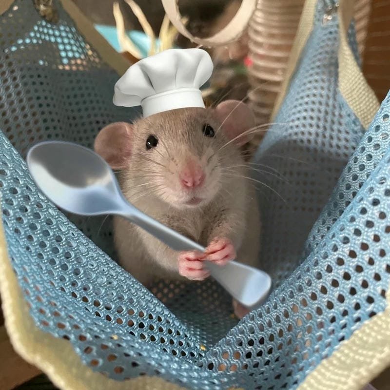 avatar cute dễ thương ngầu