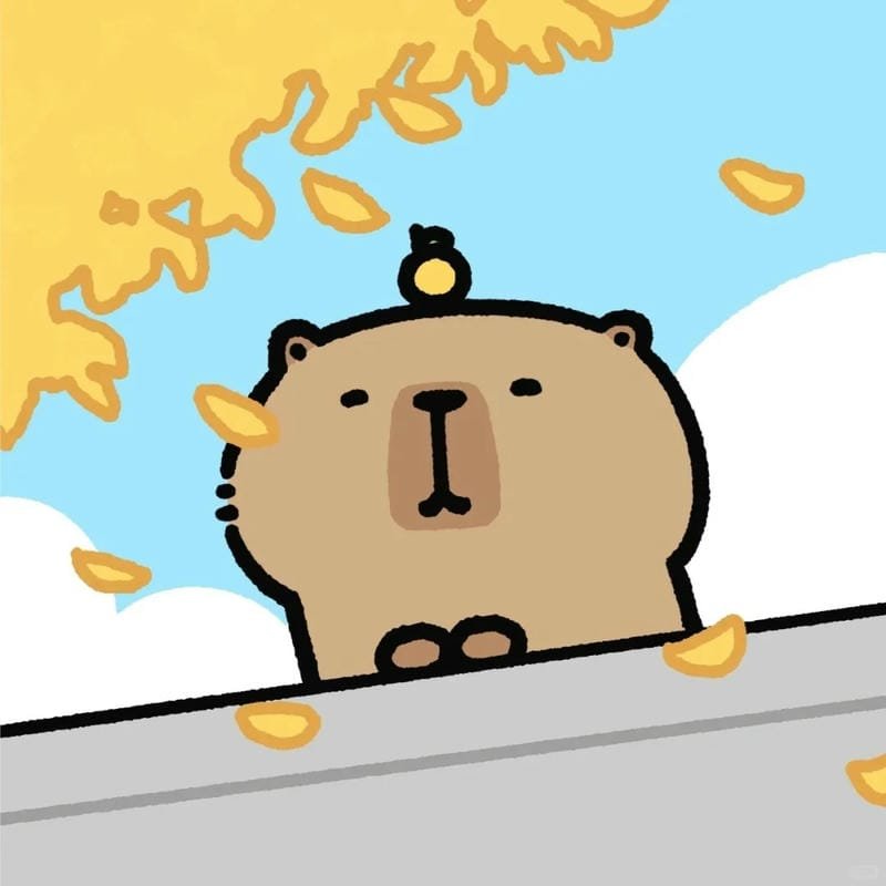 avatar dễ thương đáng yêu