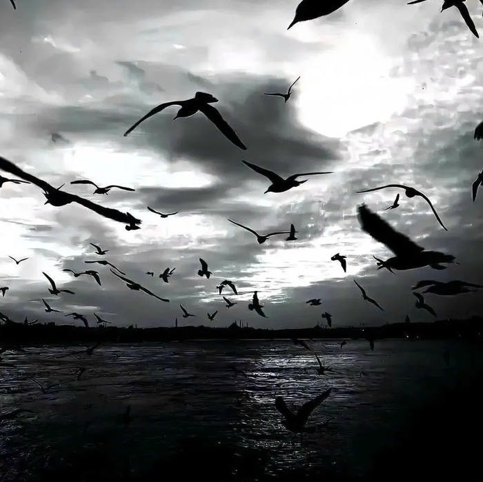 avatar đen trắng nghệ thuật bầu trời