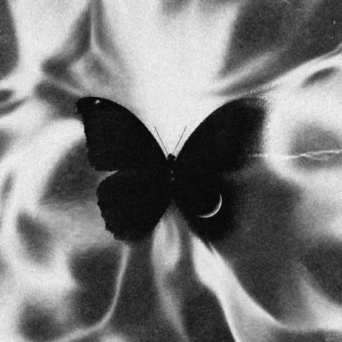 avatar đen trắng nghệ thuật tối