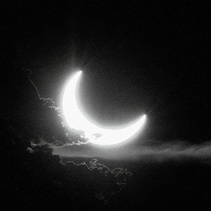 avatar đen trắng trừu tượng