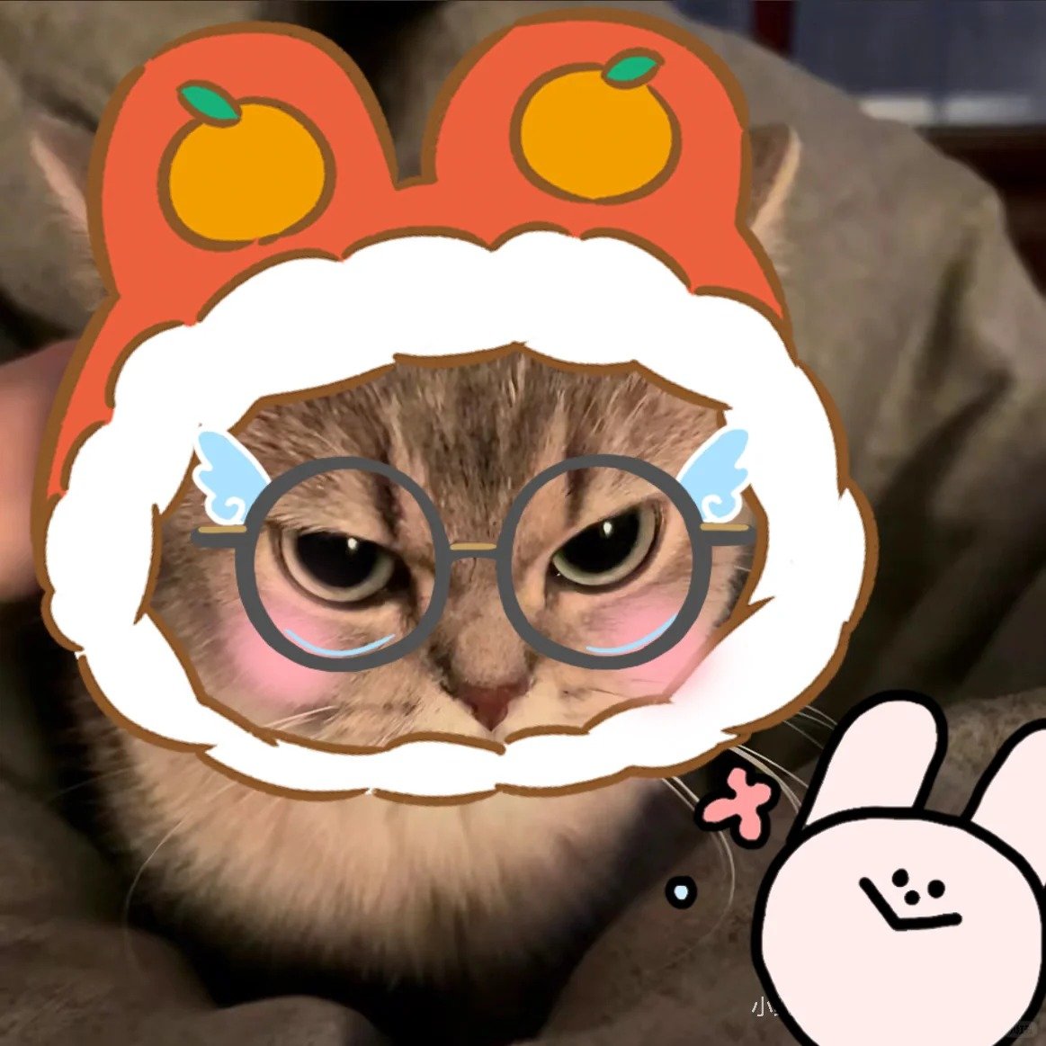 avatar mèo vô tri dễ thương