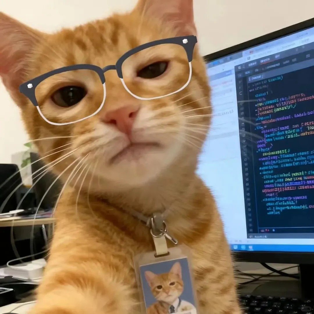 avatar mèo vô tri kiểu meme
