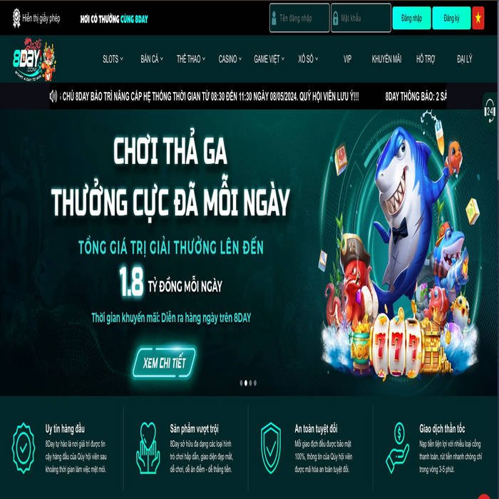 code-8day-la-gi-cach-san-qua-nhanh-nhat-cho-nguoi-moi