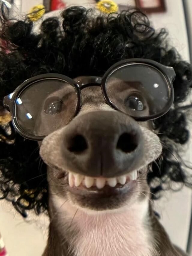 Top 176+ avatar vô chi độc đáo & phá cách cho cá tính riêng