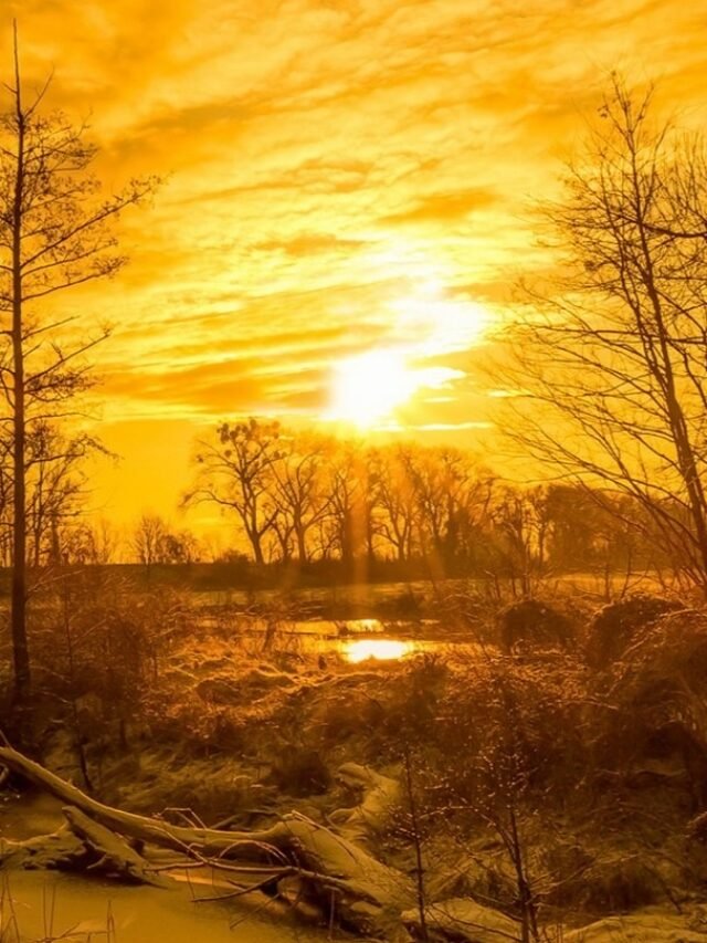 Kho 135+ hình nền thu hút tiền bạc mệnh kim giúp đón tài vận