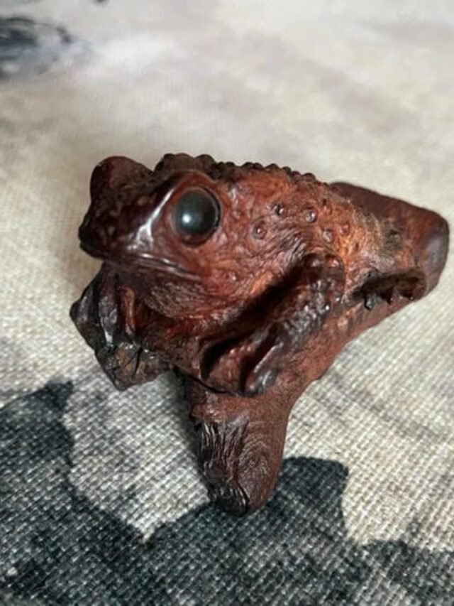 List 168+ hình ảnh con cóc bằng gỗ trấn trạch, hút tài lộc