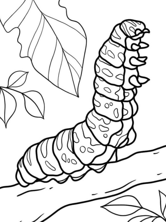 Tổng hợp 121+ tranh tô màu con sâu cho trẻ nhỏ tập tô