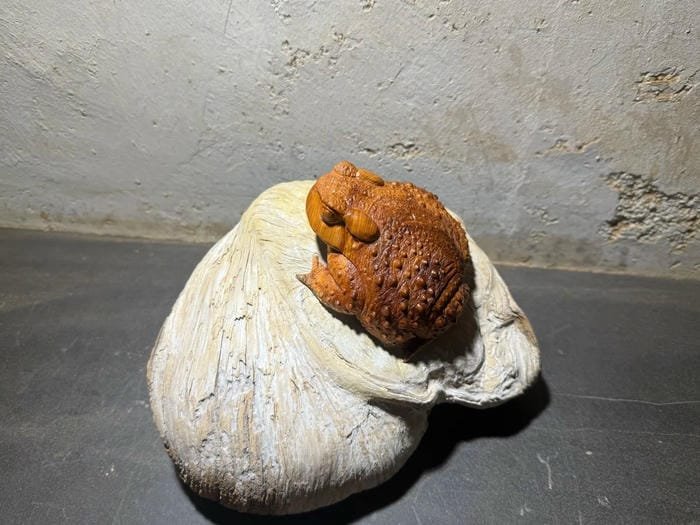 hình ảnh con cóc bằng gỗ​