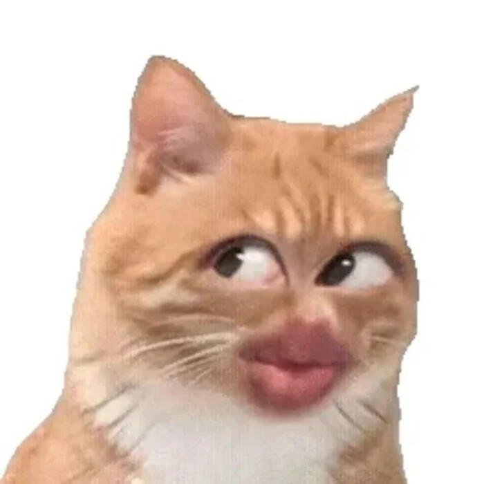 nhãn dán bựa trang trí vali