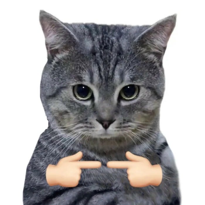 sticker xin chào mini