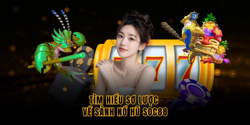 tim-hieu-so-luoc-ve-sanh-no-hu-soc88