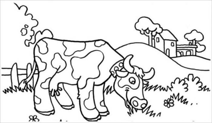 262+ Tranh tô màu con bò độc đáo sáng tạo không giới hạn tranh tô màu bò chibi