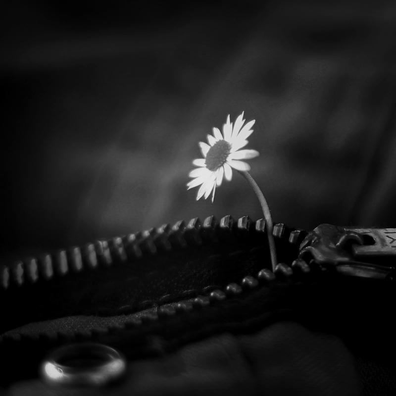 Ảnh avatar đen buồn dùng làm ảnh đại diện