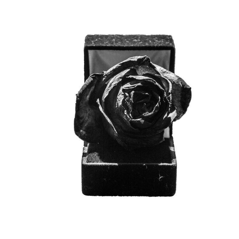 Ảnh avatar đen buồn mang cảm xúc trầm