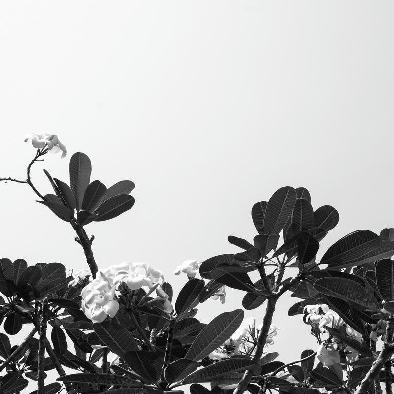 Ảnh avatar đen buồn nghệ thuật dark