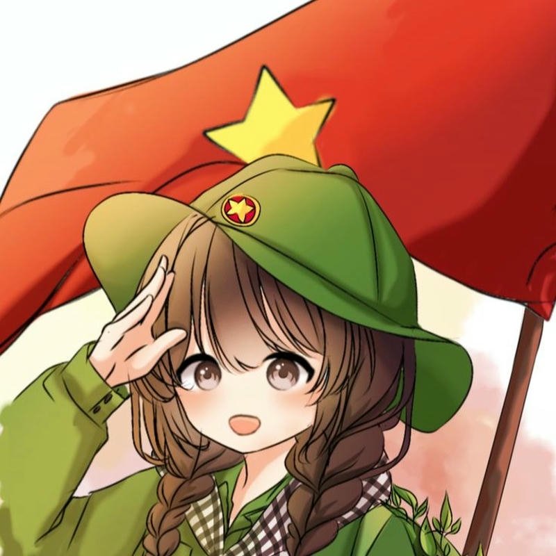 Ảnh avatar quốc kỳ cờ việt nam mang biểu trưng