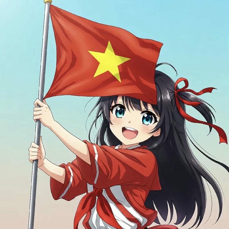 Ảnh avatar quốc kỳ cờ việt nam thiết kế tối giản