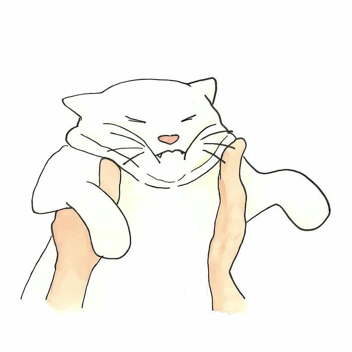Ảnh mèo được bế nét vẽ avatar trắng tinh