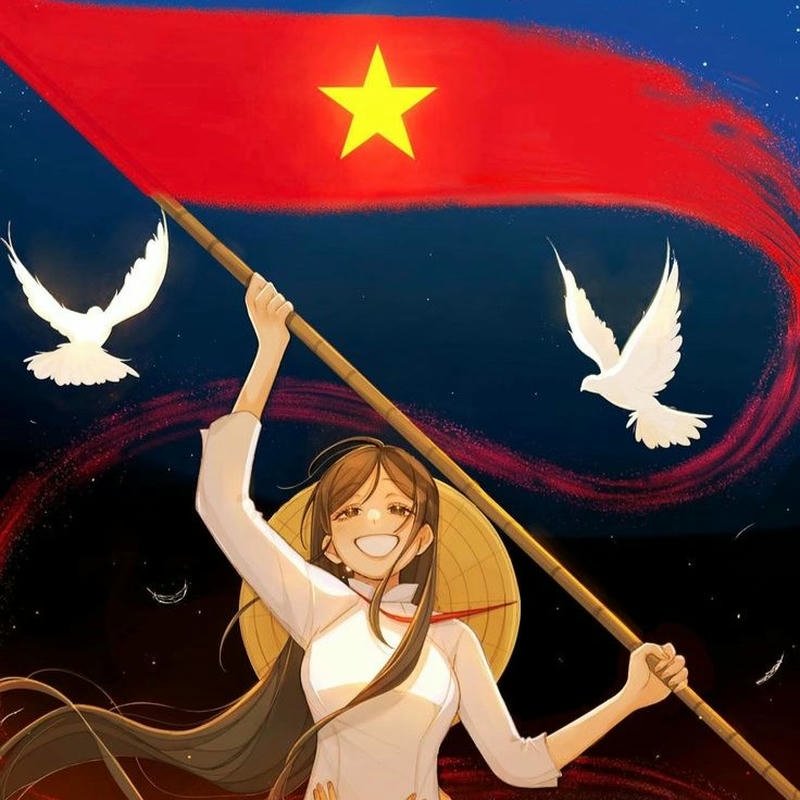 Avatar ảnh cờ việt nam quốc kỳ làm ảnh đại diện