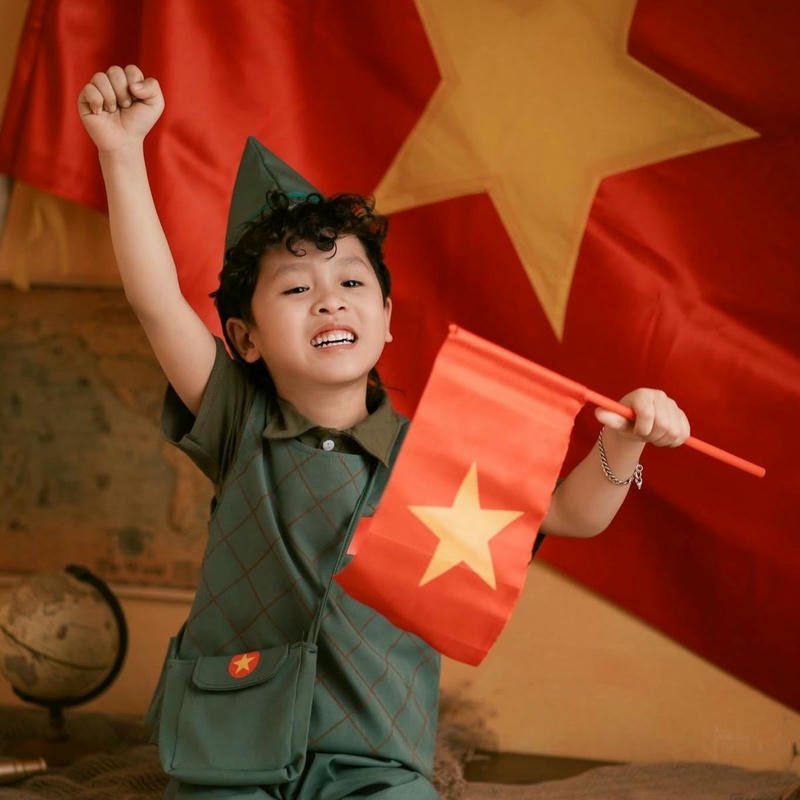 Avatar ảnh quốc kỳ cờ việt nam phong cách nghiêm túc