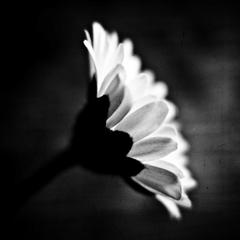 Avatar đen buồn ảnh đại diện cảm xúc sâu