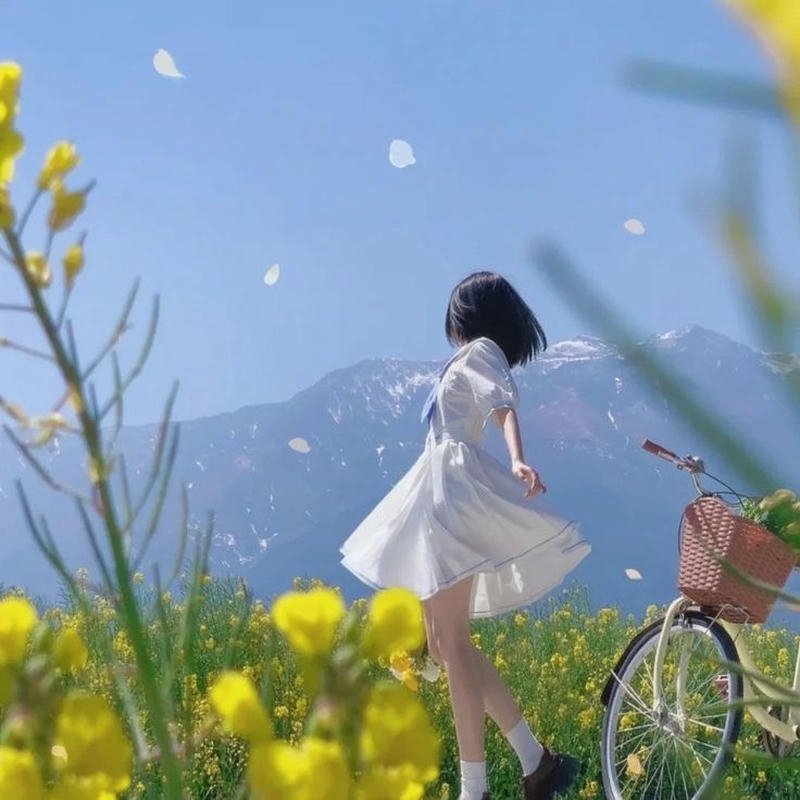 Avatar nữ che mặt hình ảnh cho mạng xã hội