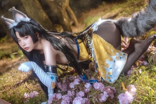 Cosplay mèo hình ảnh mèo nghệ thuật