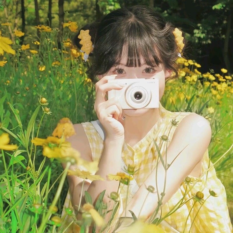 Hình ảnh avatar nữ che mặt nét đẹp kín