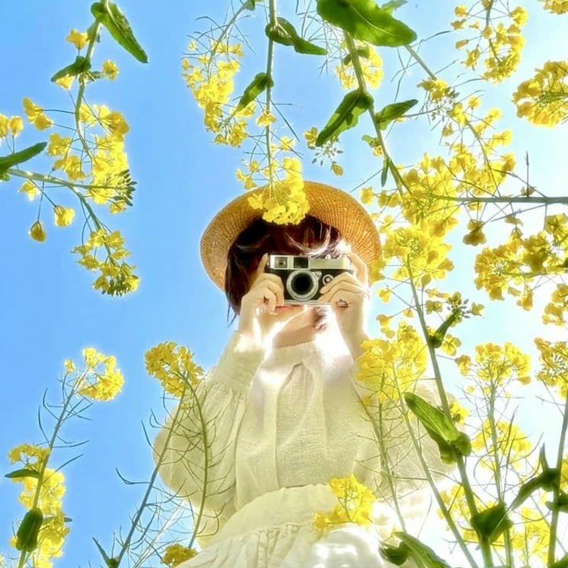 Hình ảnh avatar nữ che mặt phong cách thời trang