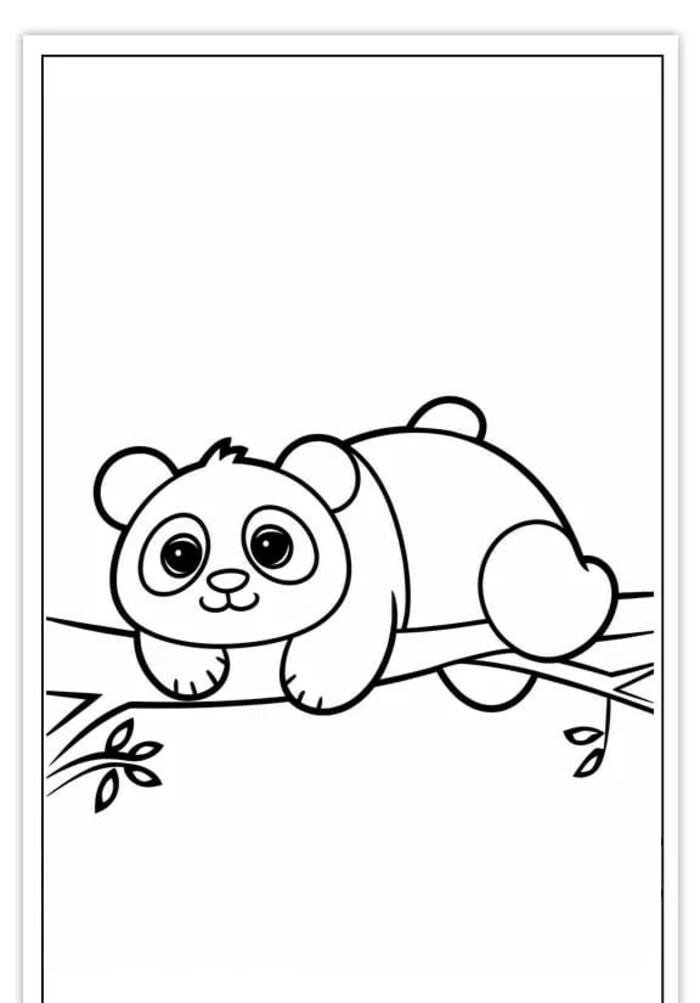 Hình vẽ gấu cute phù hợp trẻ nhỏ