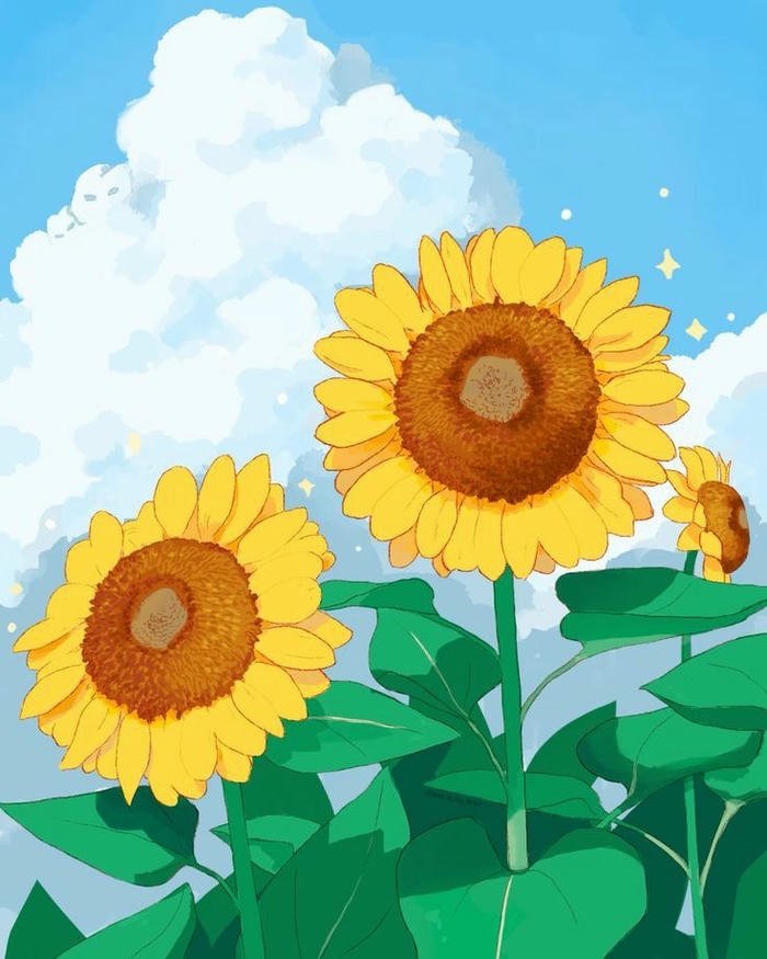 Tranh vẽ anime hoa hướng dương bầu trời mây trắng bay