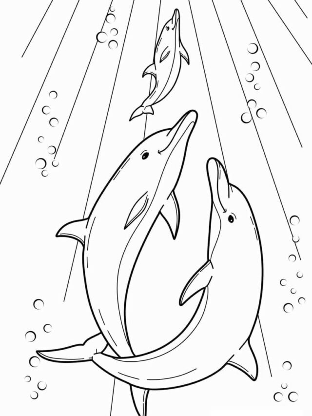 Tuyển chọn 142+ tranh tô màu cá heo dễ thương cho bé tập tô