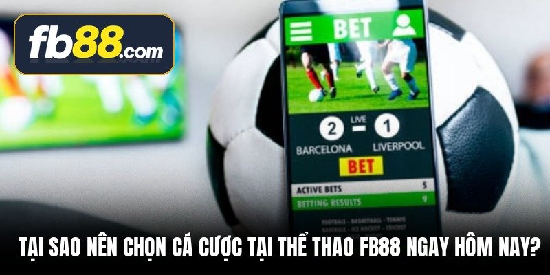 tai-sao-nen-chon-ca-cuoc-tai-the-thao-fb88-ngay-hom-nay
