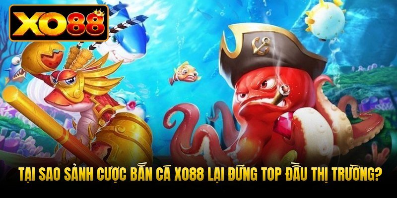 tai-sao-sanh-cuoc-ban-ca-xo88-lai-dung-top-dau-thi-truong