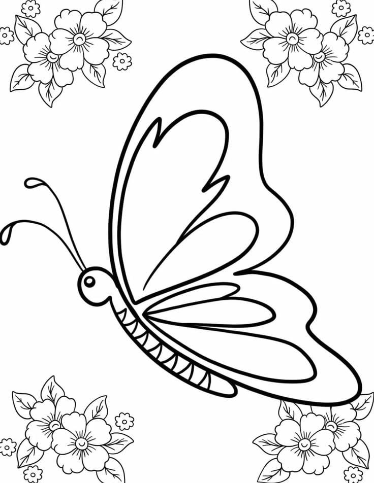 tranh tô màu con bướm hình đối xứng