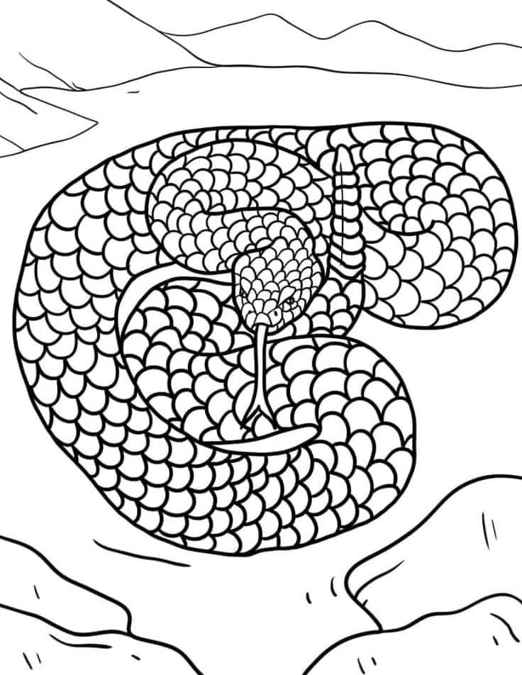 Bé tô màu rắn hoạt hình dễ thương