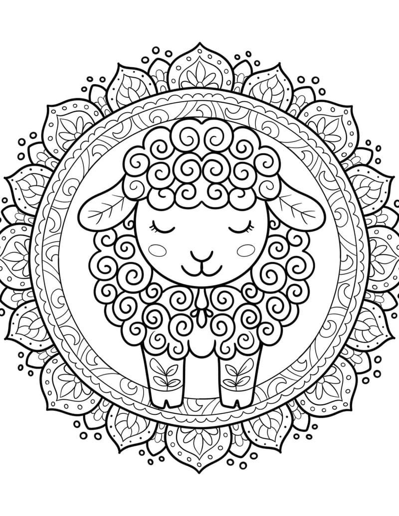 Tranh tô màu con cừu cute ngộ nghĩnh
