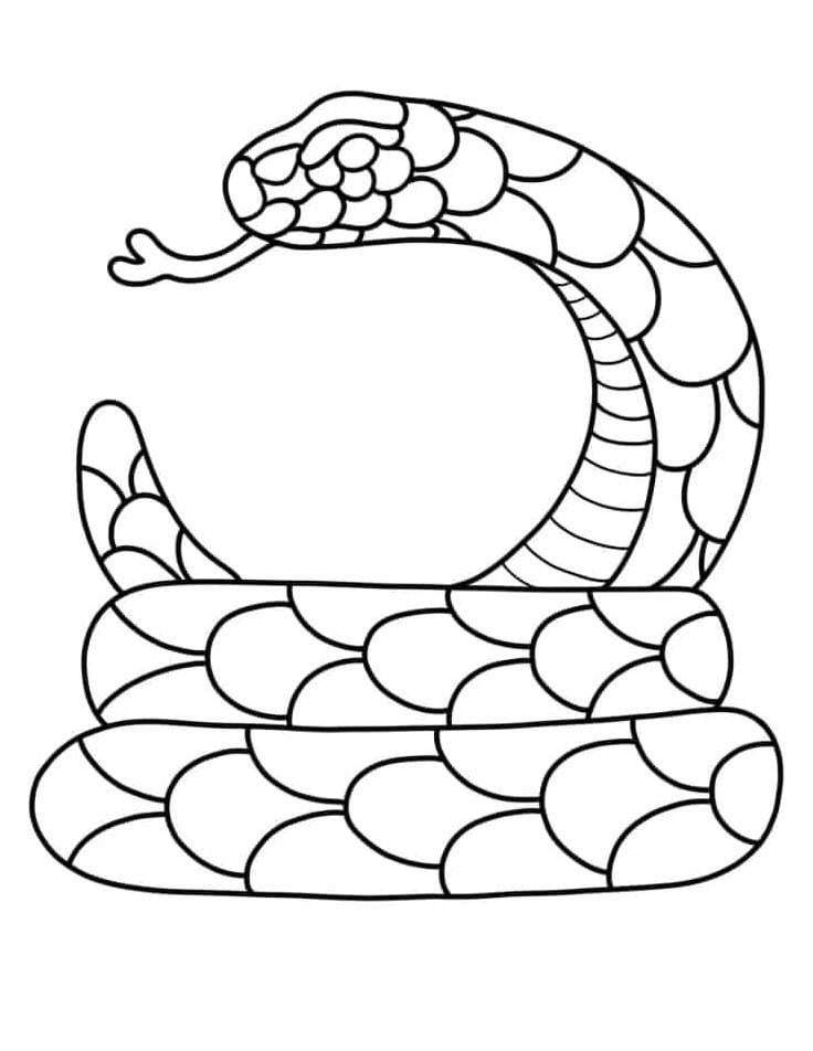 Tranh tô màu con rắn ngộ nghĩnh