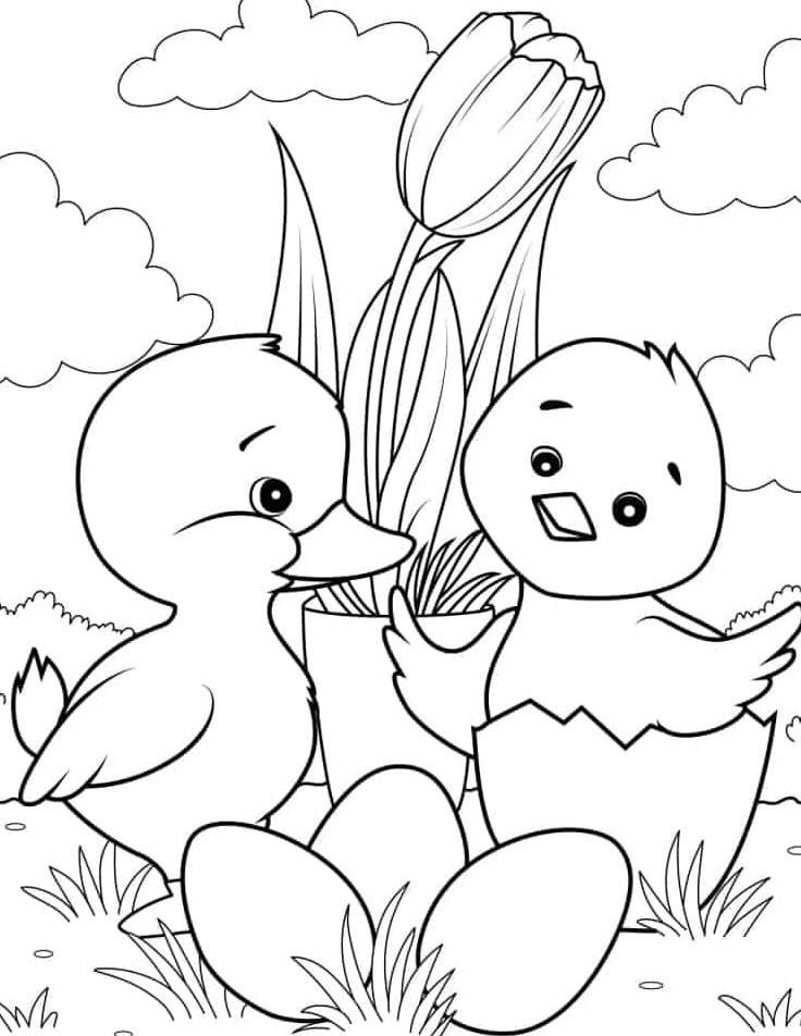 Trọn bộ 99+ tranh tô màu con vịt con dễ thương cho bé tập tô hình vẽ vịt chibi dễ thương