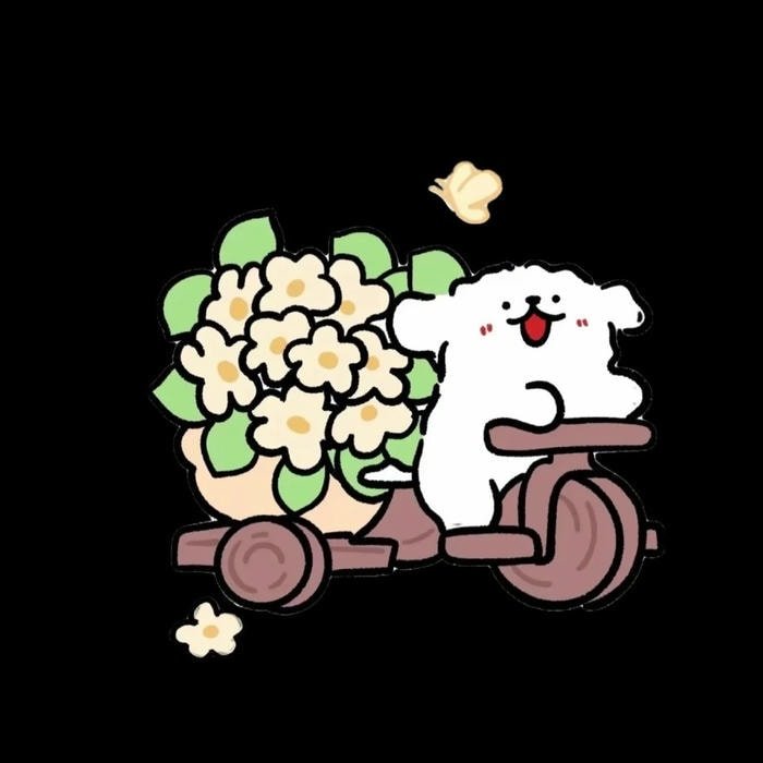 sticker gấu dễ thương cho teen