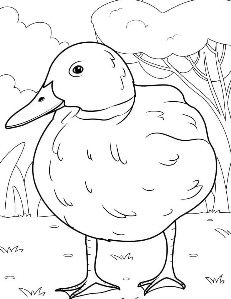 tranh tô màu vịt mẹ hiền hậu