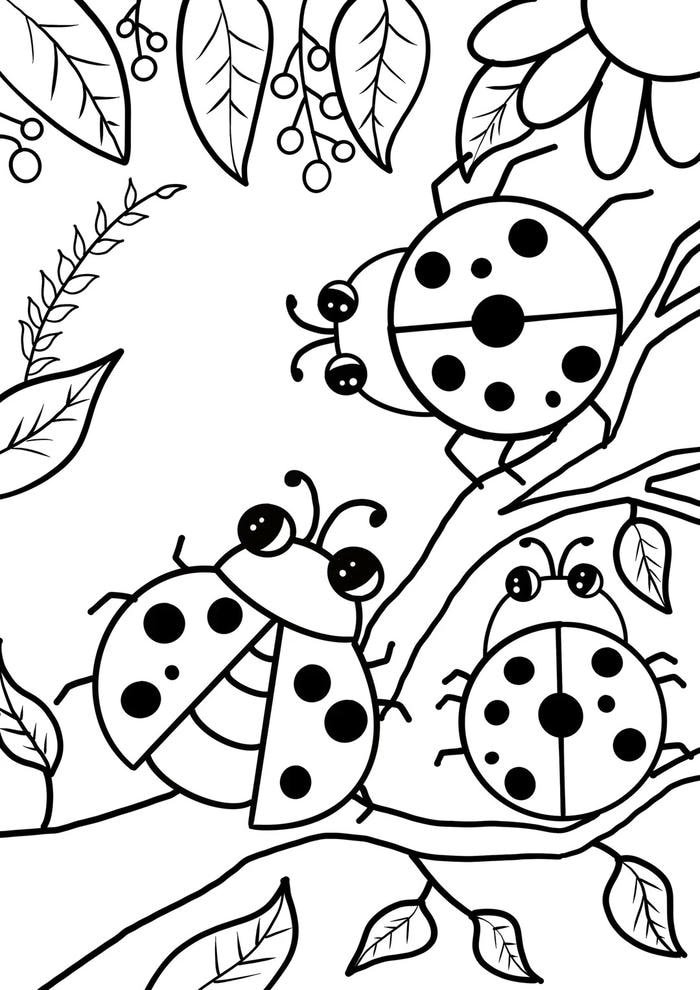Bản vẽ bọ rùa dễ thương cho trẻ sáng tạo