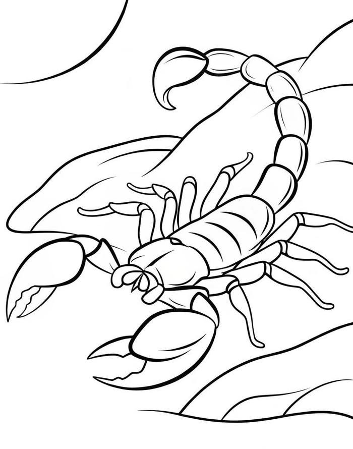 Bé rèn luyện khéo léo tranh tô màu côn trùng cho
