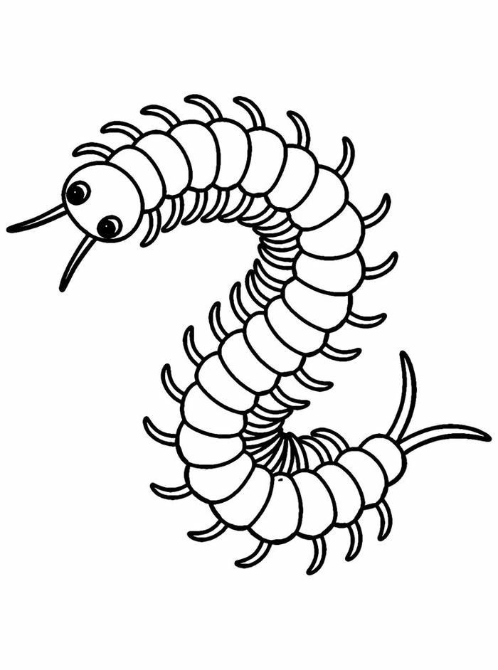 Mẫu đen trắng rõ nét tranh tô màu côn trùng