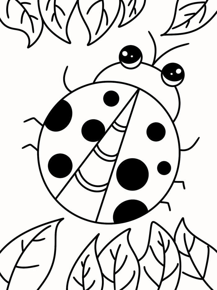 Tranh tô màu côn trùng đơn giản dành cho bé