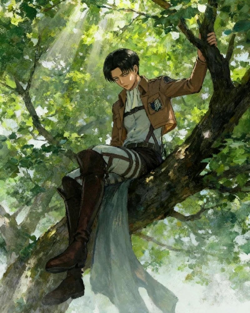 Ảnh Levi Ackerman ngồi nghỉ ngơi trên cành cây cao