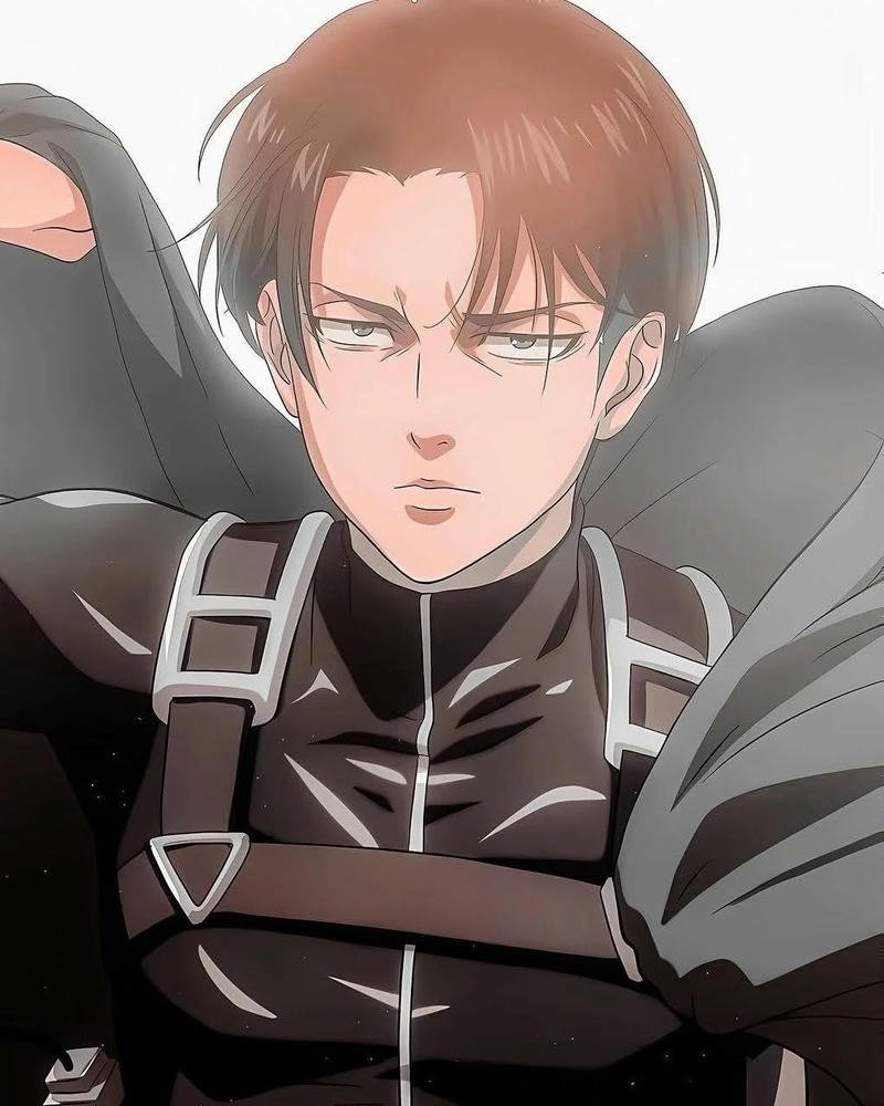 Levi Heichou và đồng đội sát cánh bên nhau uy nghiêm