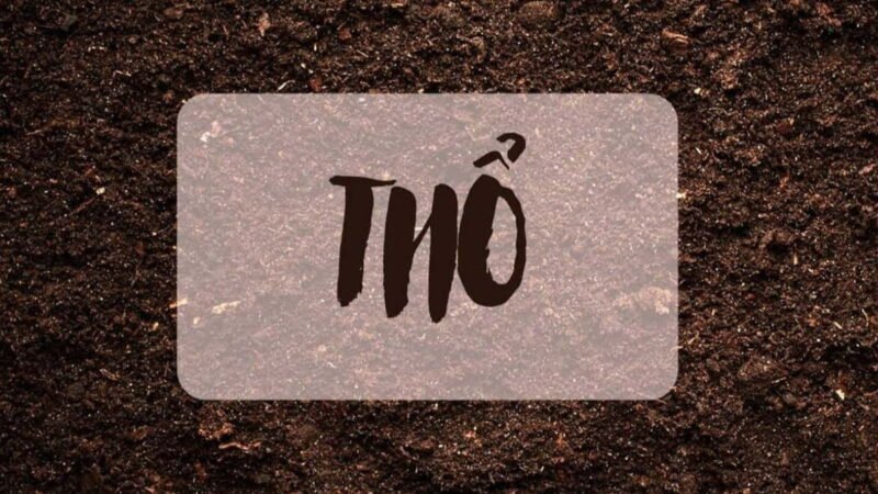 Tính cách kiên định, đáng tin cậy của người tuổi Bính Thìn 1976
