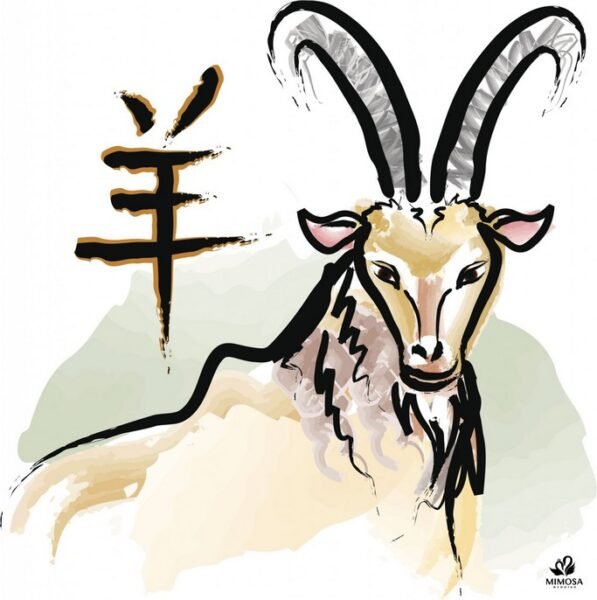 nam 2003 hợp với tuổi nào